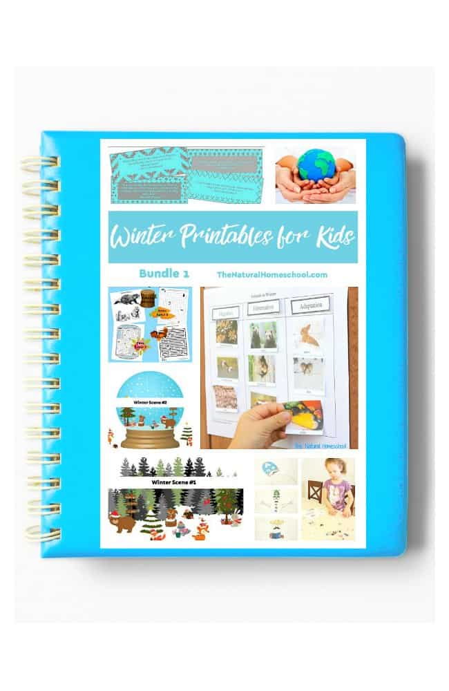 In this post, you will have a chance to see our awesome Winter Lessons and Printables Bundle 1 eBook! Take a look at what this includes and get it for your kids today!