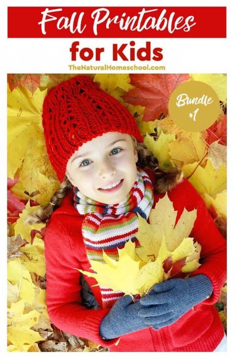Fall Printables for Kids - Bundle #1 - The Natural Homeschool