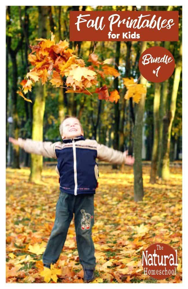 We love Fall and we are excited to have put this excellent set of Fall Printables for Kids! Come take a look at how much kids will love these activities!