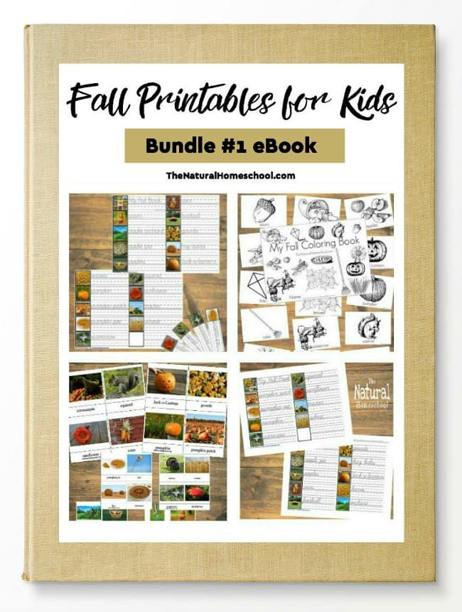 These are great Fall Printables for Kids in eBook form so you can get all of the details on how the lessons are taught and how the printables are used during those lessons!
