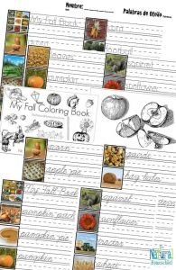 Fall Printables for Kids with Lessons and Ideas eBook - The Natural ...