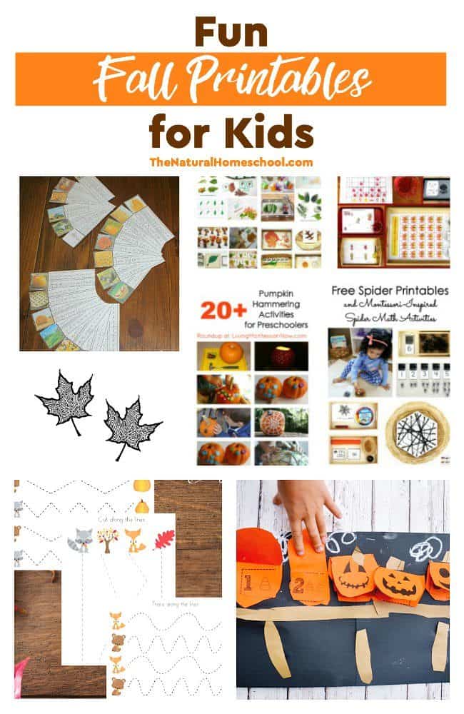 This is an awesome list of posts that bring you beautiful Fun Fall Printables for Kids. Include your children in the reading. What do they think?