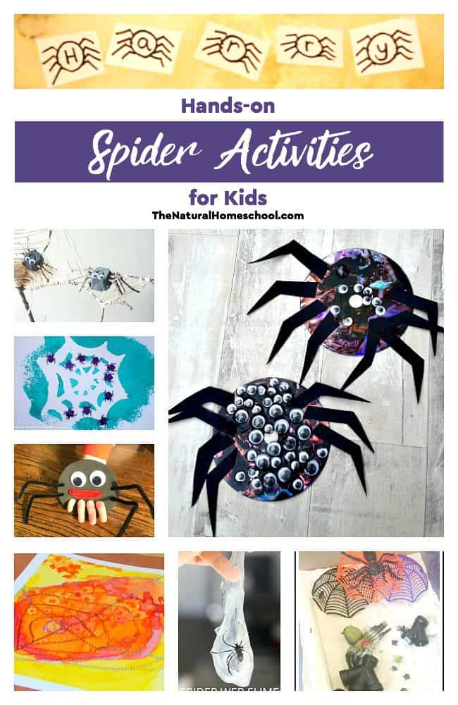 We read fiction and nonfiction books and then, I come up with a cool activity. In this case, we made a fun DIY Spider snack for preschool kids and older ones, too!