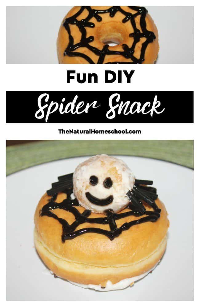 We read fiction and nonfiction books and then, I come up with a cool activity. In this case, we made a fun DIY Spider snack for preschool kids and older ones, too!