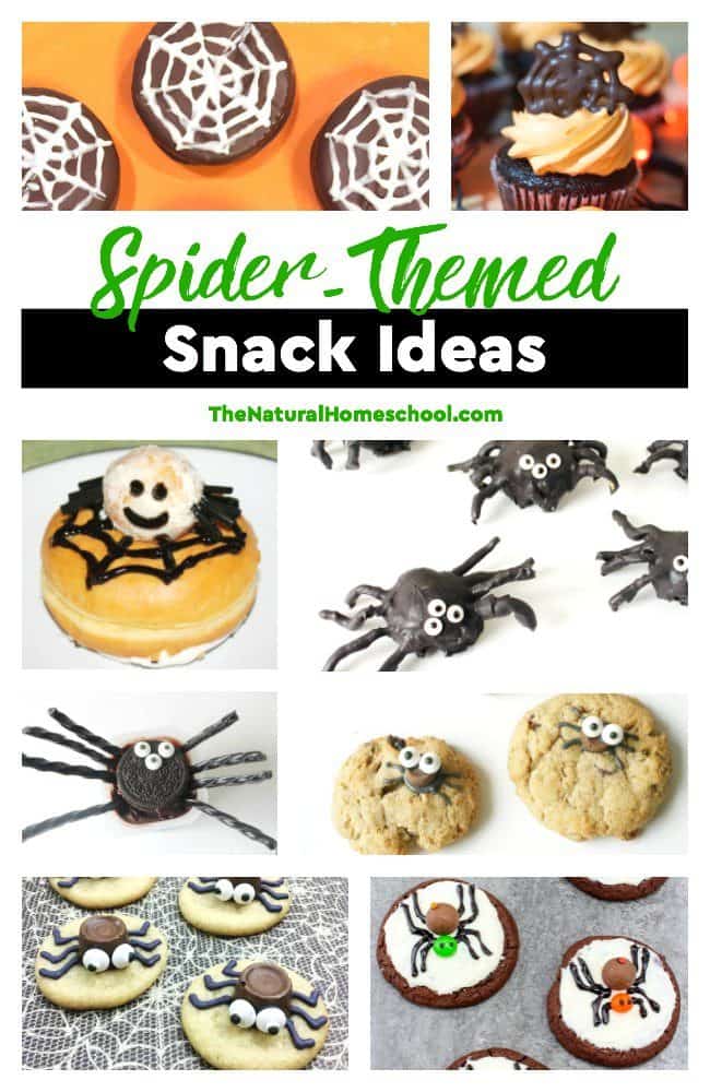 In this post, we share a list of spider themed snacks and we also show you one of the snacks we made. These ideas can be used anytime or they can be made into Halloween spider snacks as well.