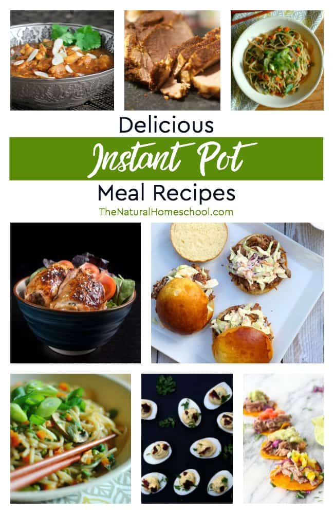 In this post, I will be sharing with you some of the most awesome Instant Pot meal recipes out there! Come take a look!