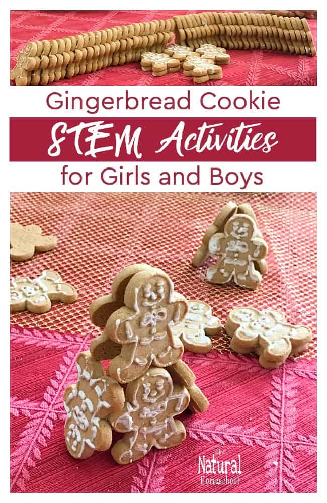 In this post, we will make some gingerbread cookie STEM activities for girls and boys to try at home this holiday season.