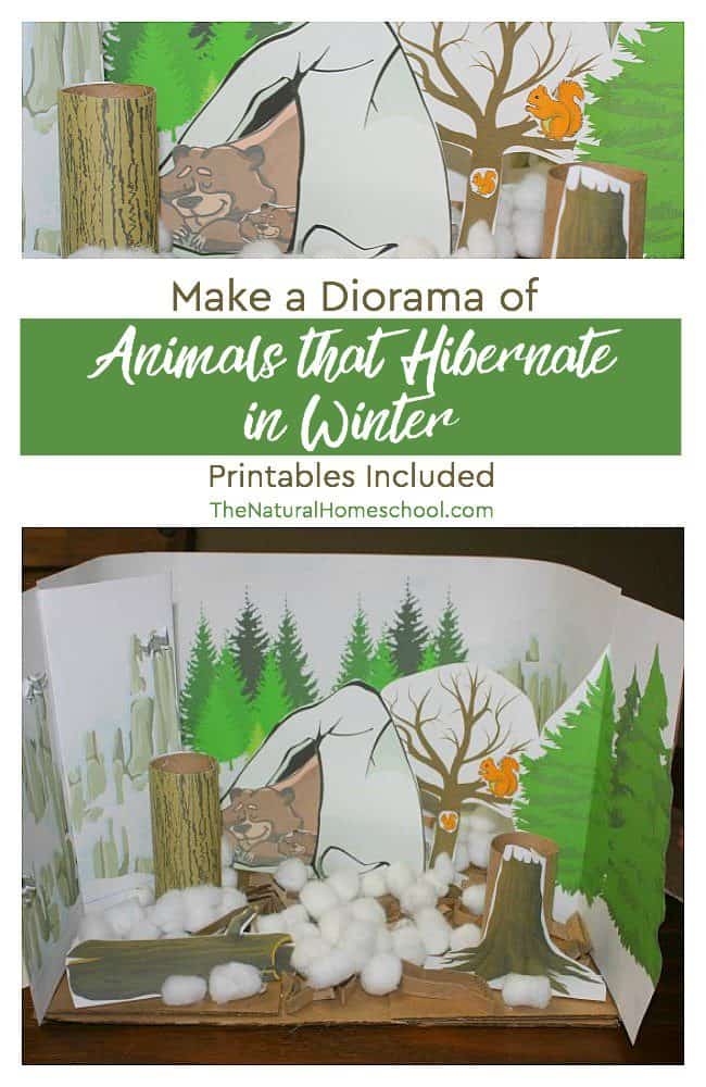 Make a Diorama of Animals that Hibernate in Winter - Printables Included -  The Natural Homeschool