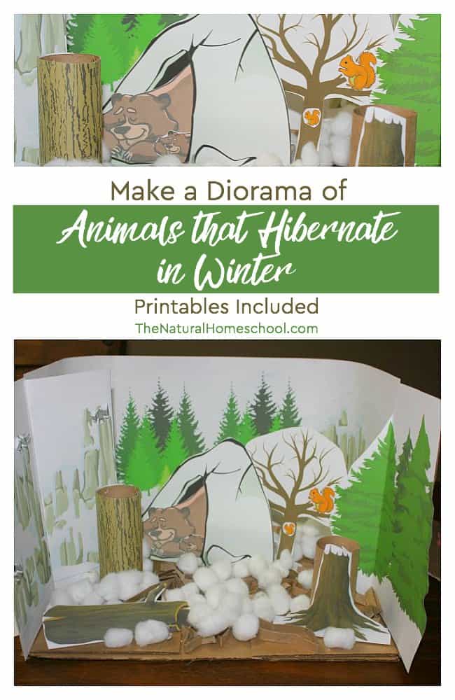 Learning about hibernation, adaptation and migration is simply fascinating for children and adults alike. Animal behavior is quite interesting in general. In this post, we will delve into some wonderful Montessori-friendly ways to teach kids about animals in Winter.