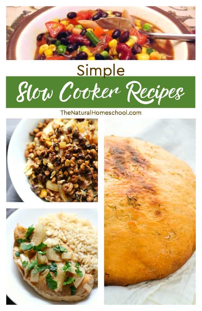 This is an awesome list of posts that bring you beautiful advice to make Simple Slow Cooker Recipes a wonderful experience. Include your children in the reading. What do they think?