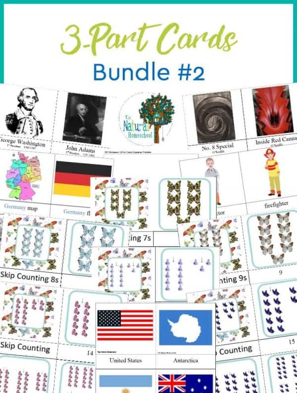 The Best Montessori 3-Part Cards ~ Bundle 2 - The Natural Homeschool