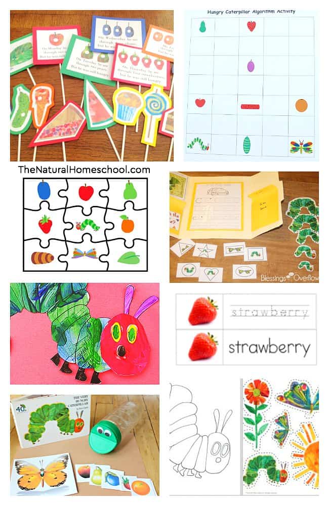 In this post, we will share with you a least of 25+ The Very Hungry Caterpillar printables & ideas for kids to expound on learning about this wonderful children's book!