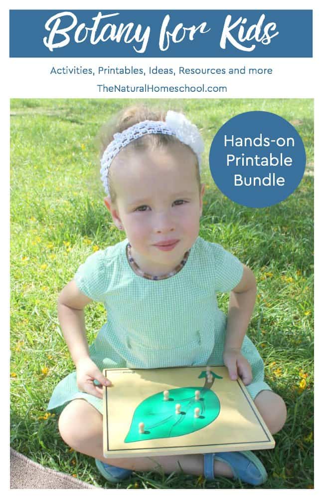 We are so excited about this wonderful printable bundle of Botany for Kids! It is full of fun hands-on activities, educational printables, inspiring ideas, helpful resources and more! Come and take a look at what this fantastic bundle includes!
