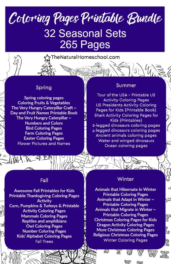 In this bundle of coloring pages for kids, we have 32 sets of 265 printable pages total. We have 8 sets for each of the four seasons.