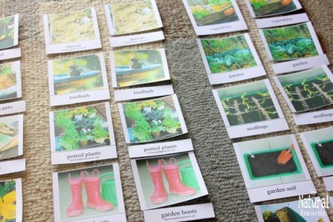 Botany for Kids Printable Bundle {Activities, Printables, Ideas ...