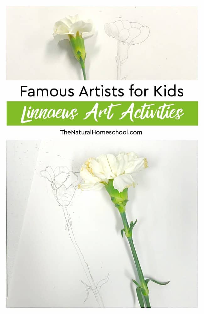 Let's get started on our famous artists for kids unit on Linnaeus! Here are some fun Linnaeus Art activities that kids will find fun and educational.
