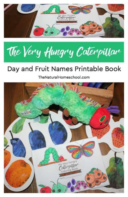 The Very Hungry Caterpillar Craft ~ Day and Fruit Names Printable Book ...