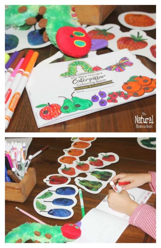 The Very Hungry Caterpillar Printable Book (Color and Number Names)