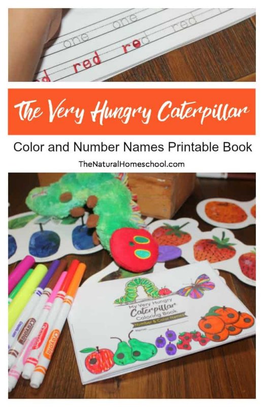 The Very Hungry Caterpillar Printable Book (Color and Number Names)