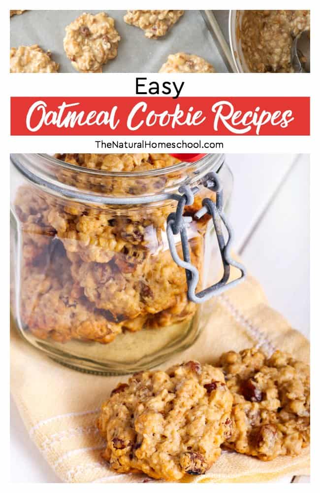 We love homemade oatmeal cookies, especially those that have easy oatmeal cookie recipes! So sit back and check out our list here with some healthier variations.