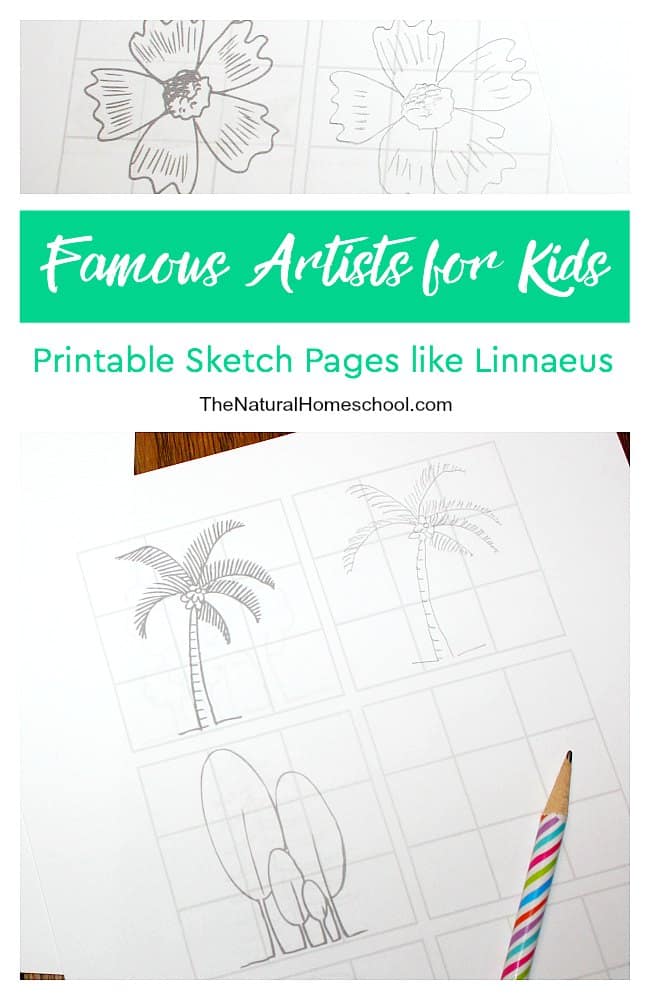 In our famous artists for kids series, we learn something new about every artist. Let's skip over the Linnaeus system of classification this time and jump over to the artistic side of his life. We will learn to make sketches and drawings like Linnaeus with this awesome set of printable pages!