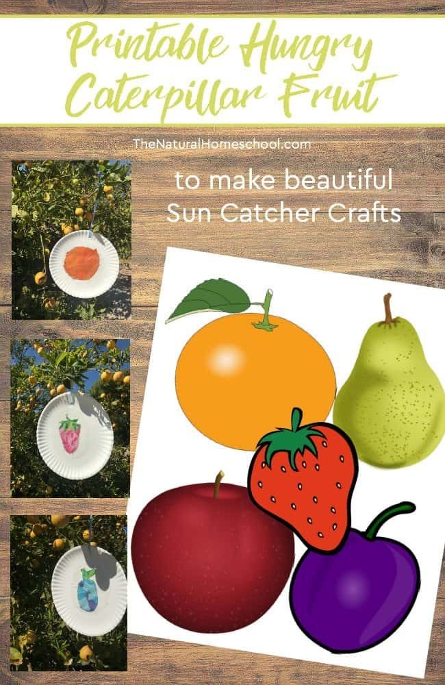 I have put together some very hungry caterpillar printables to make beautiful sun catchers! Come and see how we made them and how they turned out so amazing and grab the printable hungry caterpillar fruit!