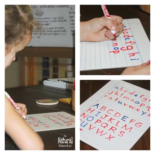 In this post, we share with you some essential Montessori teaching materials that you will need to teach lessons using the Montessori Moveable Alphabet in manuscript and cursive.