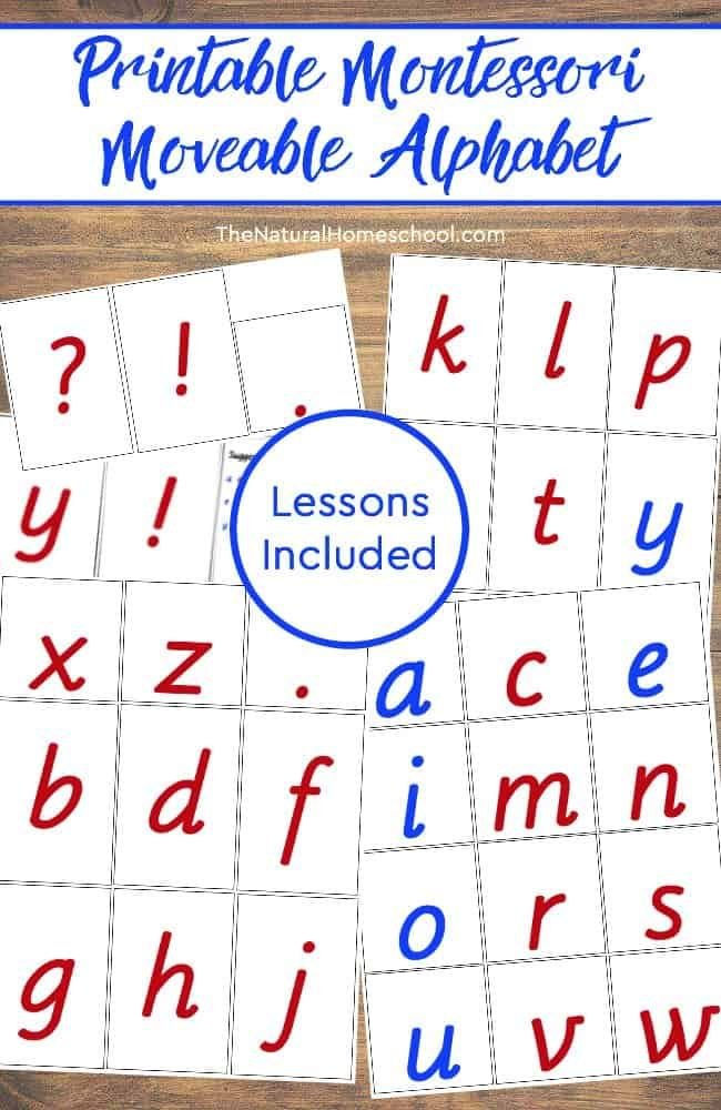 In this post, we share with you some essential Montessori teaching materials that you will need to teach lessons using the Montessori Moveable Alphabet in manuscript and cursive.