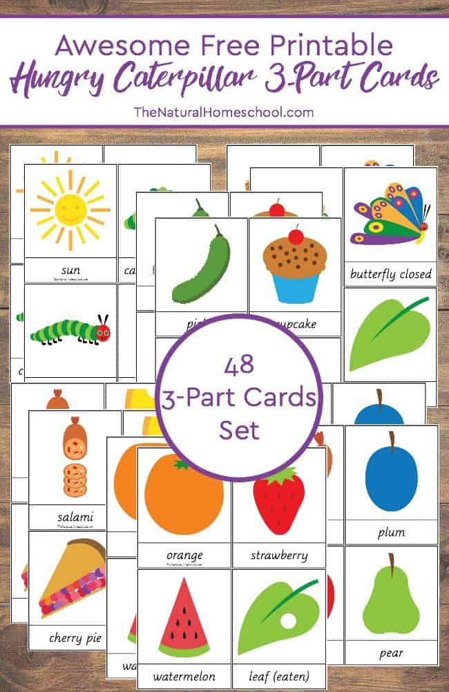 We are excited to have this awesome free printable hungry caterpillar set of 3-part cards!