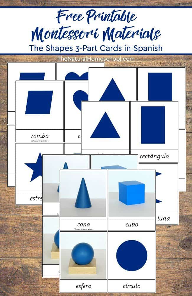 In this post, we are so happy to share with you a Montessori Curriculum Free Sensorial Lesson! This one will teach children the names of shapes, so we have a free printable set of shapes 3-part cards in Spanish for you to download!
