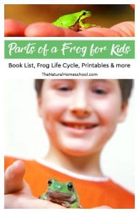 Book Lists on Frog Life Cycle, Parts of a Frog for Kids, Resources ...