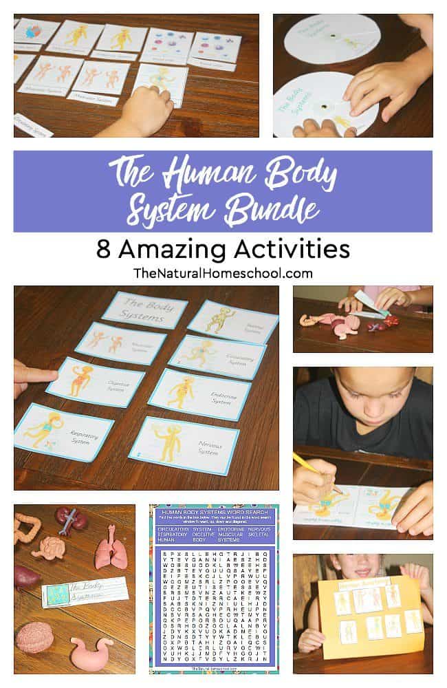 Kids will love to learn about anatomy with The Human Body System Bundle! It includes 8 amazing activities that are easy to follow and full of fun.