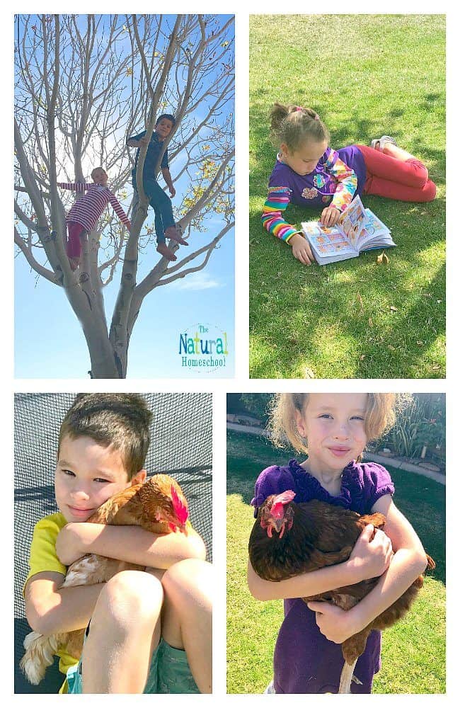 If you are a homeschool mom or dad, you know that there are definite benefits to choosing to embark on this homeschool journey, so let's discus them in this post, which I aptly named The Epic Benefits of Natural Homeschooling for Parents.