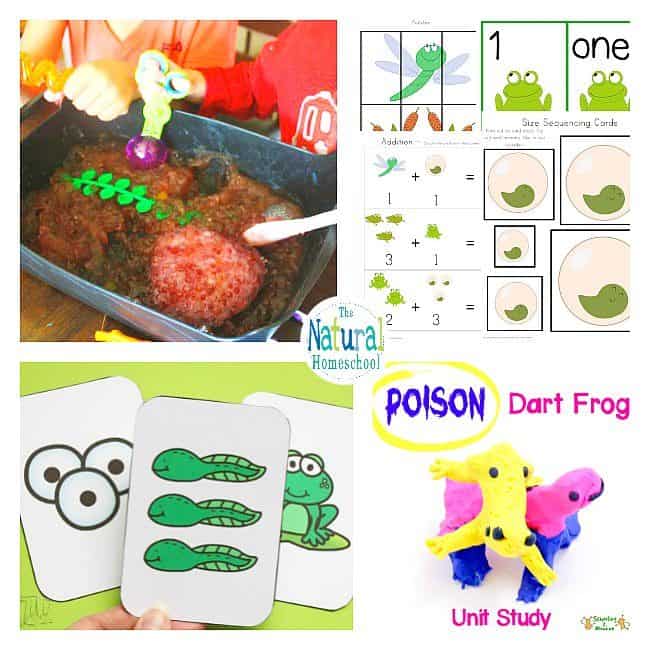 In this post, we share a list of fun parts of a frog and life cycle hands-on and printable activities that your kids will love, too!