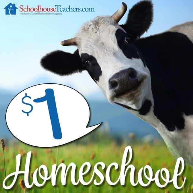 Schoolhouse Teachers has over 400 courses for homeschoolers, starting from Pre-K up to High School! And now, you have an incredible chance to preview it all and try it for an entire month for only $1! Come see how!