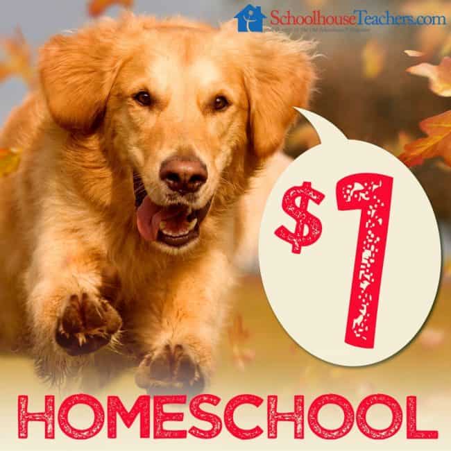 Schoolhouse Teachers has over 400 courses for homeschoolers, starting from Pre-K up to High School! And now, you have an incredible chance to preview it all and try it for an entire month for only $1! Come see how!