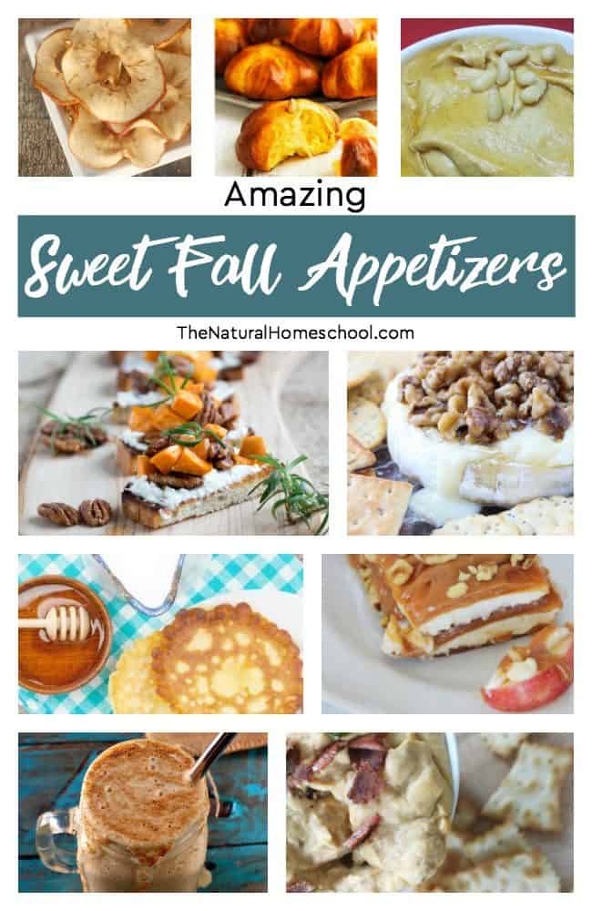 In this post, I will share with you a list of amazing sweet Fall appetizers to make and use throughout this lovely, cooler season.