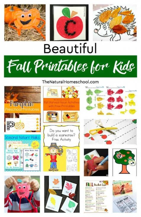 Beautiful Fall Homeschool Printables for Kids - The Natural Homeschool