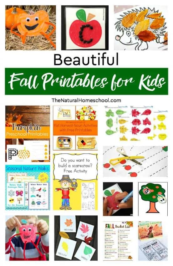 Beautiful Fall Homeschool Printables for Kids - The Natural Homeschool