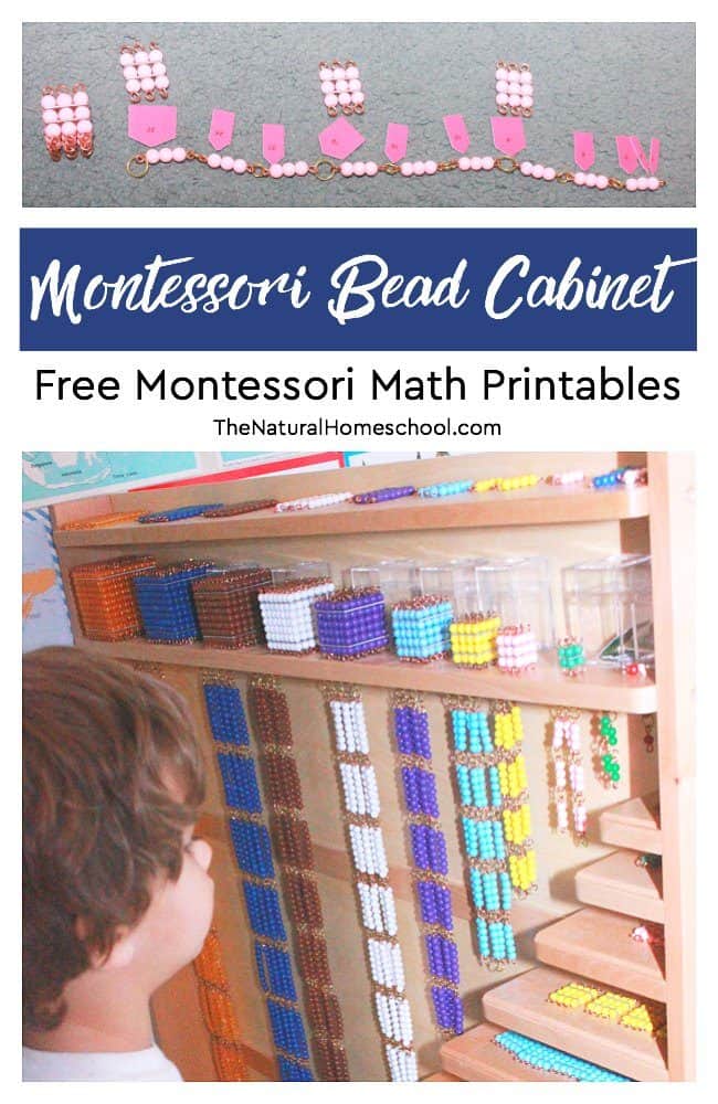 In following the Montessori curriculum, you will come across the beautiful Montessori Bead Cabinet. In this post, you can get some helpful free Montessori printables for it.