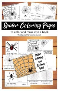 Printable Spider Coloring Pages to Color &amp; Make into a Book - The ...