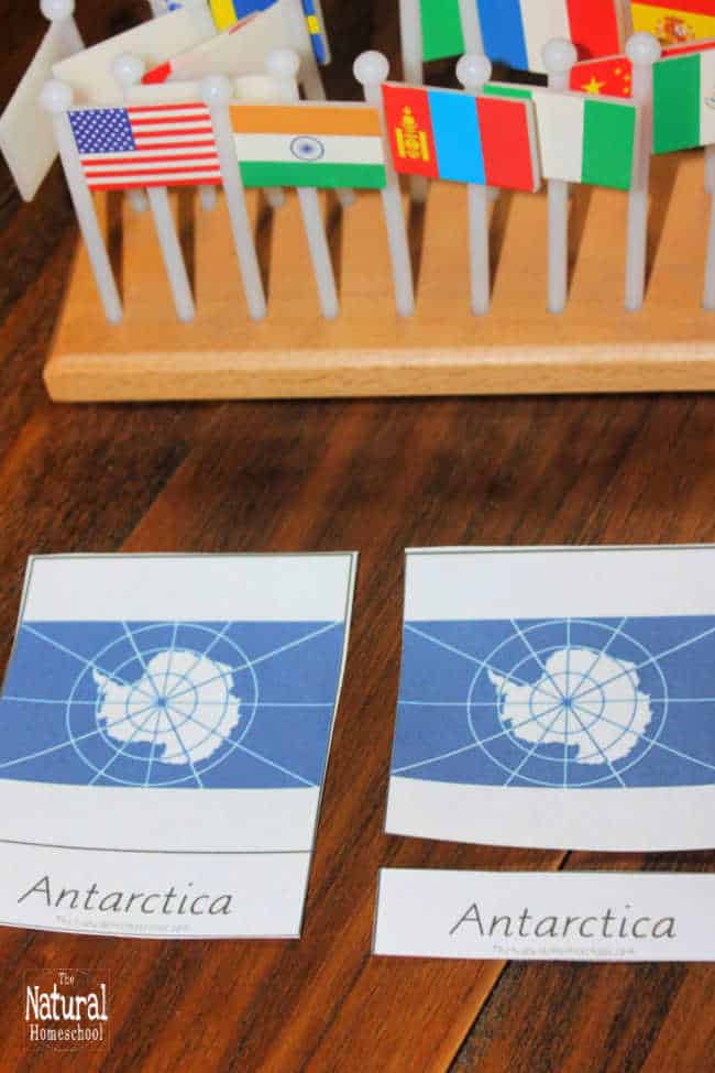 7 Continents of the World Series ~ Antarctica Lesson & Printable - The ...