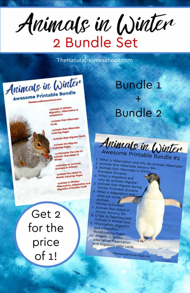 I have put together this amazing set with over 100 pages. Come take a look at how awesome these Animals in Winter duo bundle is! Get both bundles together and get 2 for the price of one!