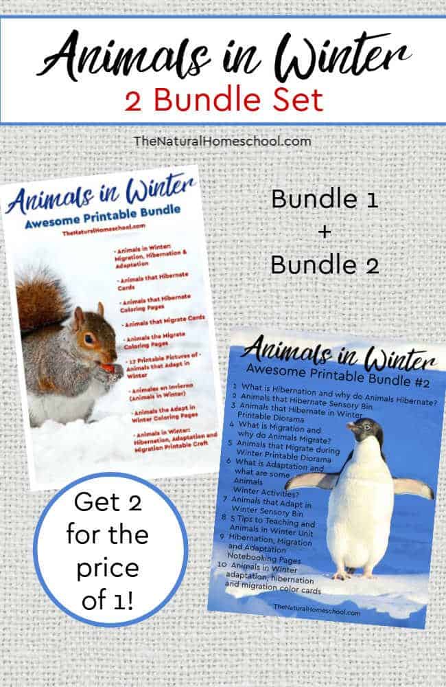 Come take a look at how awesome this Animals in Winter duo bundle is! Get both bundles together and get 2 for the price of one!