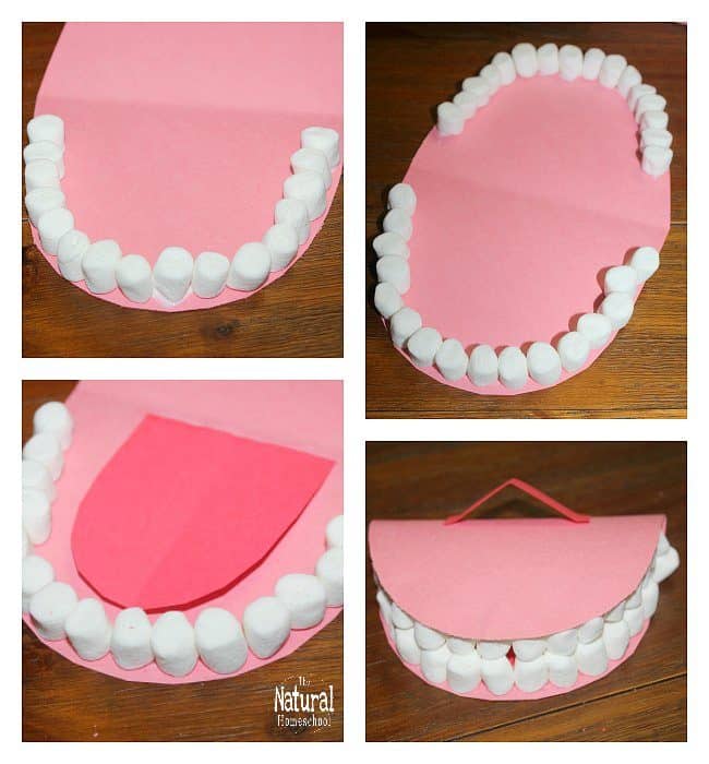 In this post, we will show you how we made some really fun mouth & tooth arts & crafts for kids to learn the names and locations of teeth! The best part? The teeth are made out of mini marshmallows!