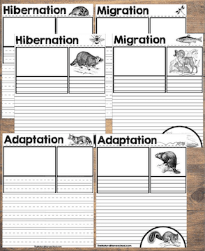 Here, we will show you 10 Hibernation, Migration, Adaptation Animals in Winter Activities! It's Bundle #2!