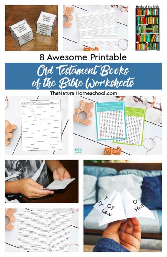 8 Awesome Printable Old Testament Books Of The Bible Worksheets The