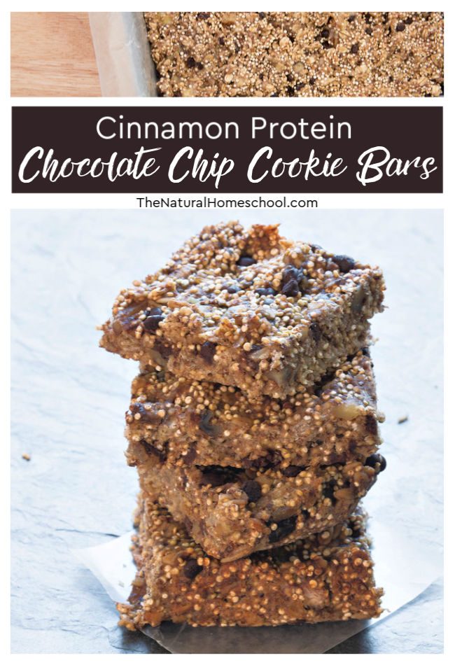 In this post, you will get the recipe for some delicious cinnamon protein chocolate chip cookie bars that you will just want to bake today!