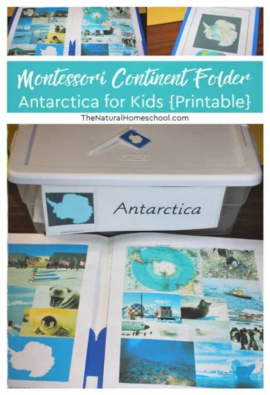 Montessori Continent Folders ~ Antarctica for Kids {Printable} - The ...