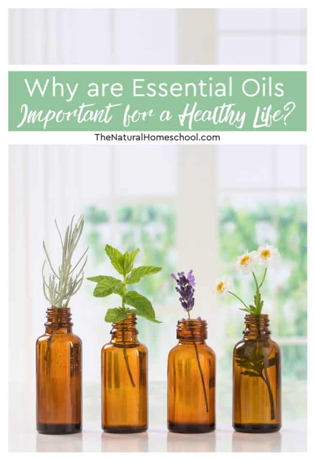Let me explain to you why having the best quality essential oils is so important. Take a look at our post: Why are Essential Oils Important for a Healthy Life?